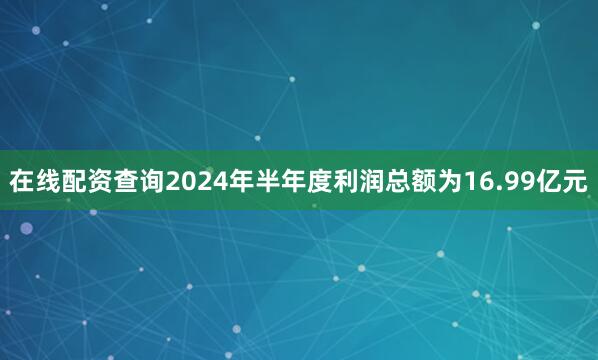 在线配资查询2024年半年度利润总额为16.99亿元