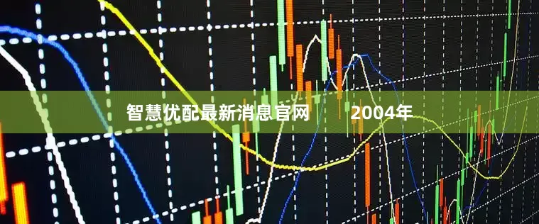 智慧优配最新消息官网        2004年