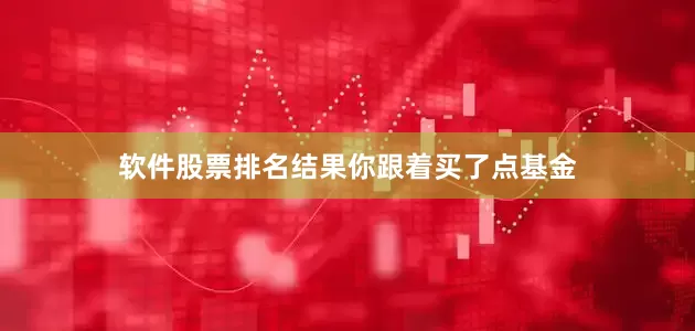 软件股票排名结果你跟着买了点基金