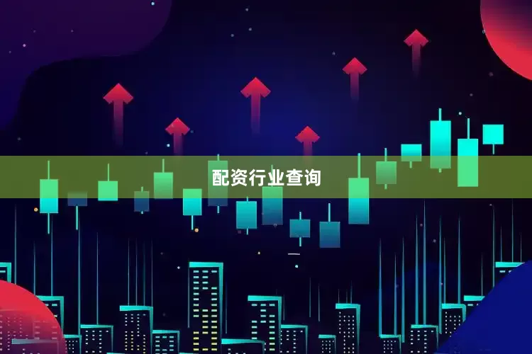 配资行业查询