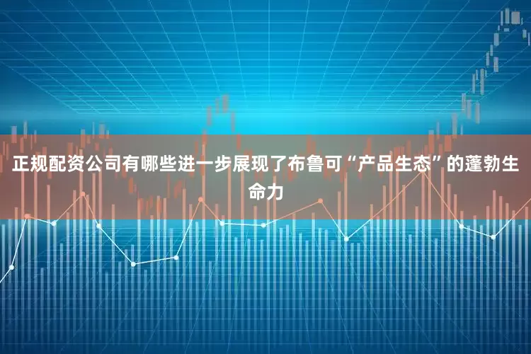 正规配资公司有哪些进一步展现了布鲁可“产品生态”的蓬勃生命力