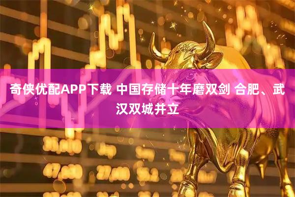 奇侠优配APP下载 中国存储十年磨双剑 合肥、武汉双城并立